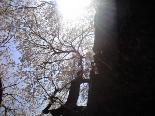 20110417_1.jpg