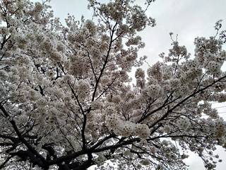 timeline_20190408_125652.jpg
