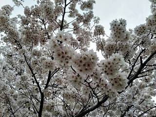 timeline_20190408_125654.jpg