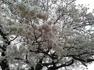 timeline_20190408_125659.jpg