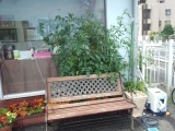 20120716_4.jpg
