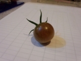 20120719_1.jpg