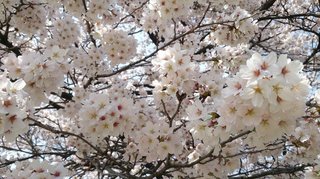 20170410_2.jpg