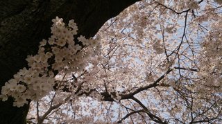 20170410_3.jpg